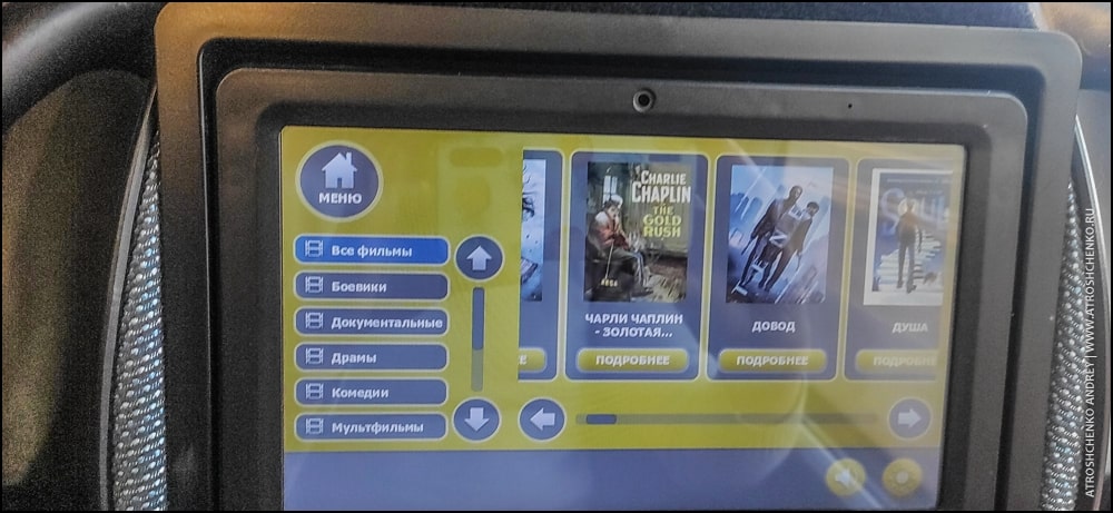 ecolines пересекает границу россии и белоруссии без ограничений с 18 марта