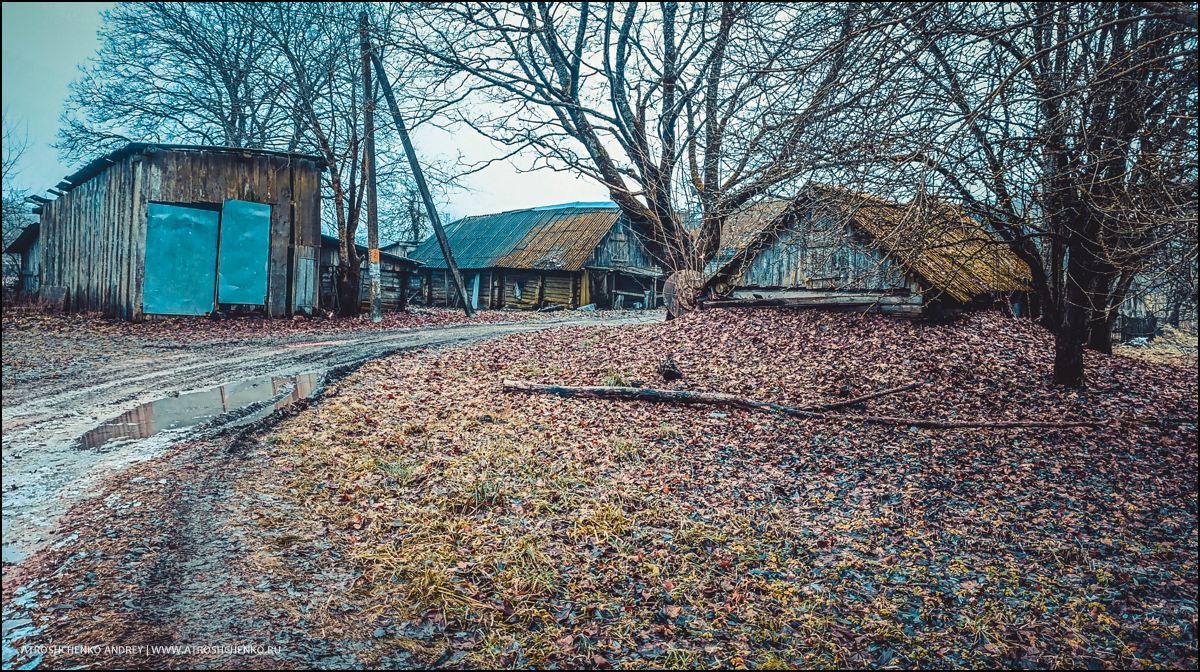 Окно бабушкиного дома, через которое когда-то смотрело детство