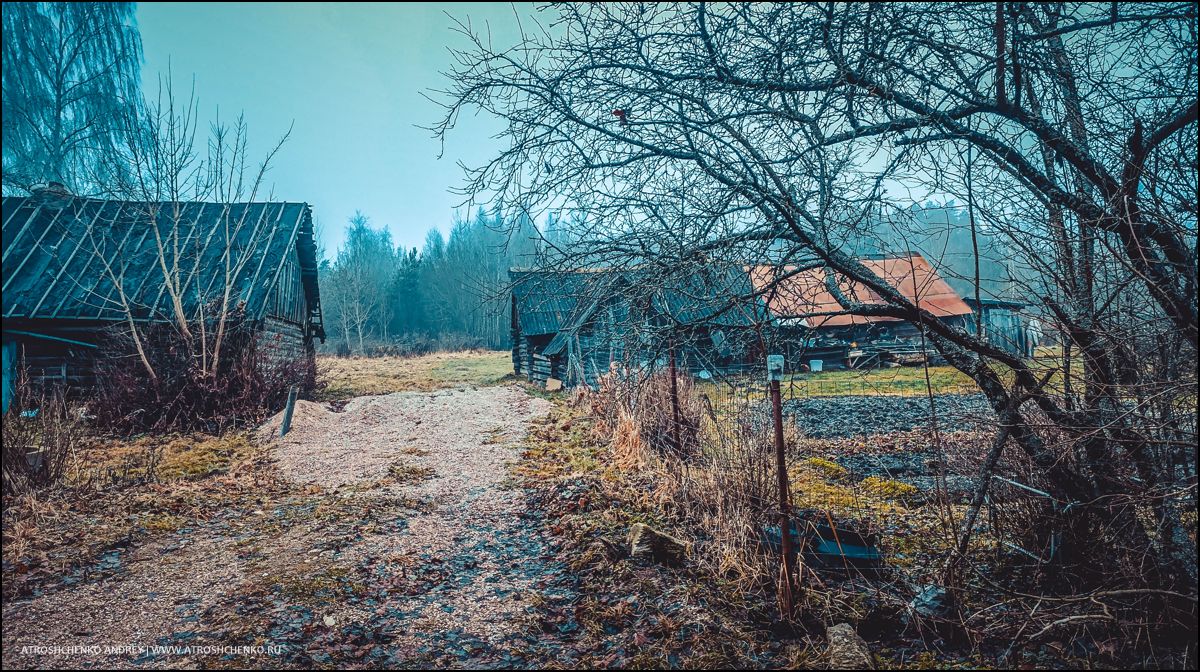 Окно бабушкиного дома, через которое когда-то смотрело детство