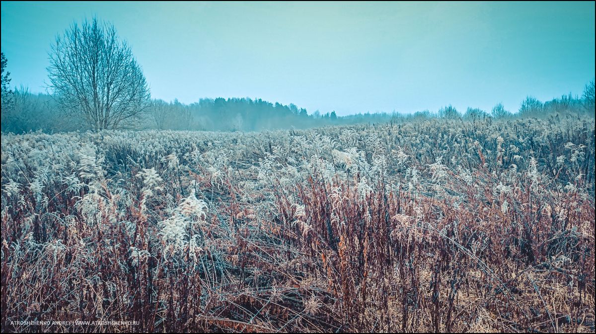 Окно бабушкиного дома, через которое когда-то смотрело детство