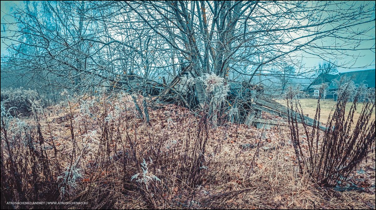 Окно бабушкиного дома, через которое когда-то смотрело детство