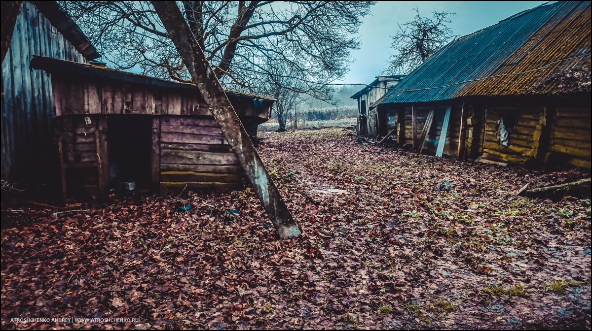Окно бабушкиного дома, через которое когда-то смотрело детство