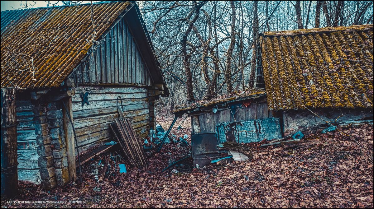 Окно бабушкиного дома, через которое когда-то смотрело детство